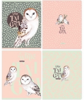  5 48 . BG White enigma, , ,  