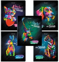  5 48 . BRAUBERG "Animals Pop-Art" , , ,  ,  , (  )