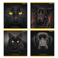  48 .  Alingar "Black animals", ,  ,  -, 4 