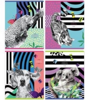  40 . BG "Animal picture", 