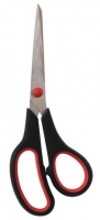  195 . STAFF EVERYDAY, -,  ,  